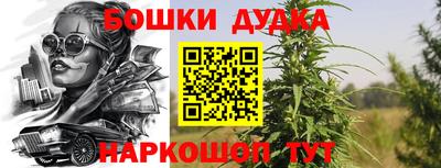 прущие крисы Будённовск